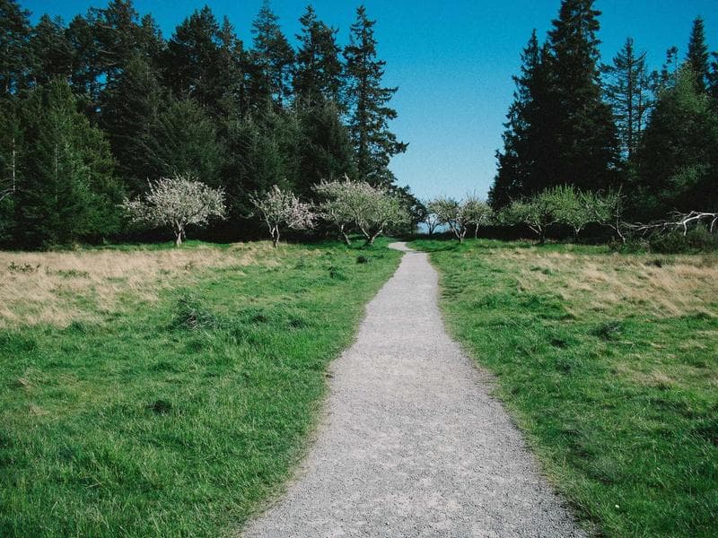 Students and faculty at SIM Nursing College campus in Tharwai, Prayagraj